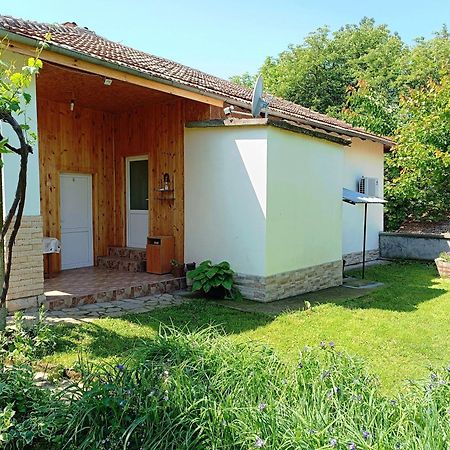 Divna Guest House Krušuna Exteriér fotografie