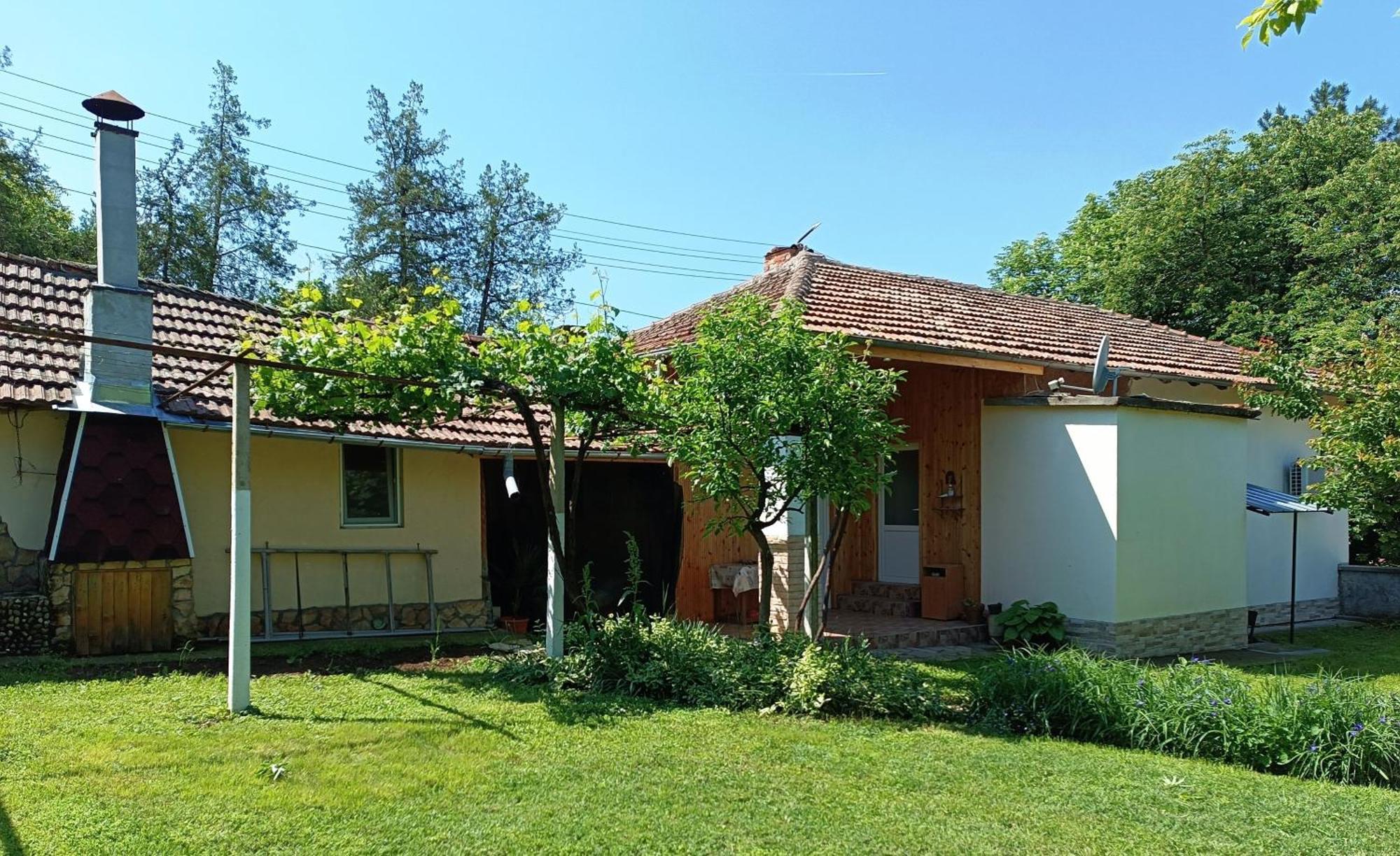 Divna Guest House Krušuna Exteriér fotografie