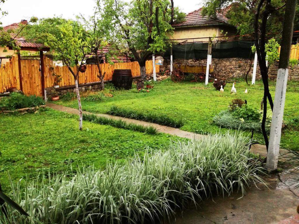 Divna Guest House Krušuna Exteriér fotografie