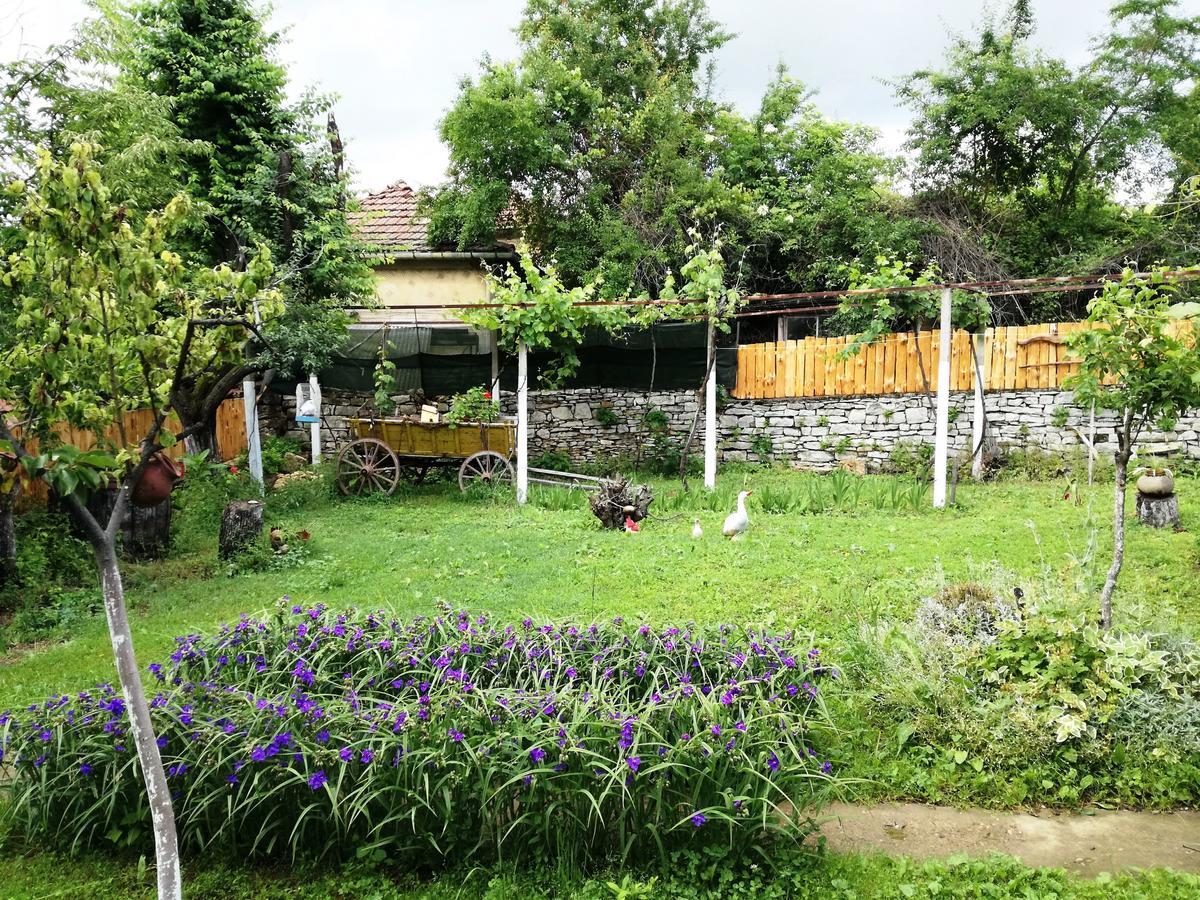 Divna Guest House Krušuna Exteriér fotografie